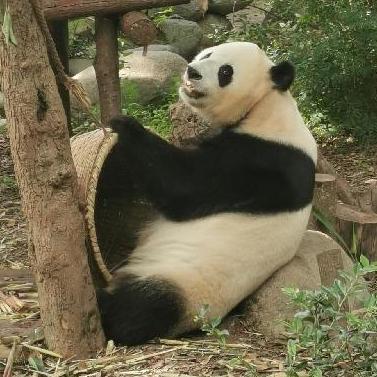 @fengguangyuan
