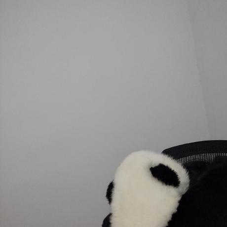 @ikesnowy