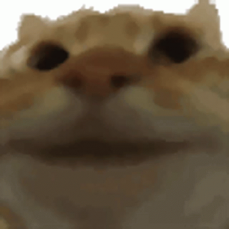 @christianitis