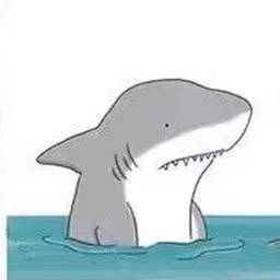 @SleepyShark709