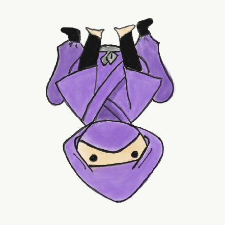 @sfninja