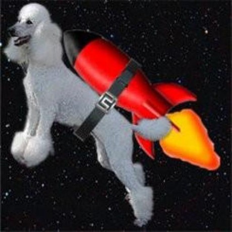 @Rocketpoodle