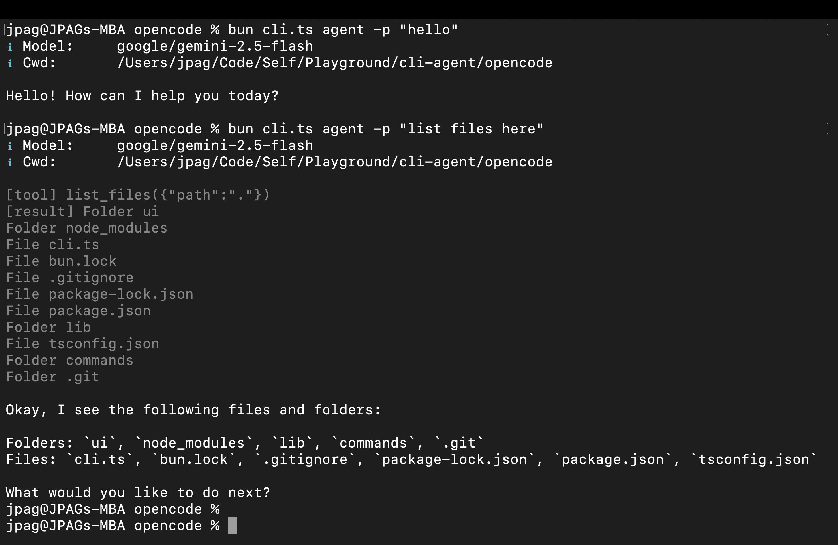 Opencode CLI executing a file reading agent