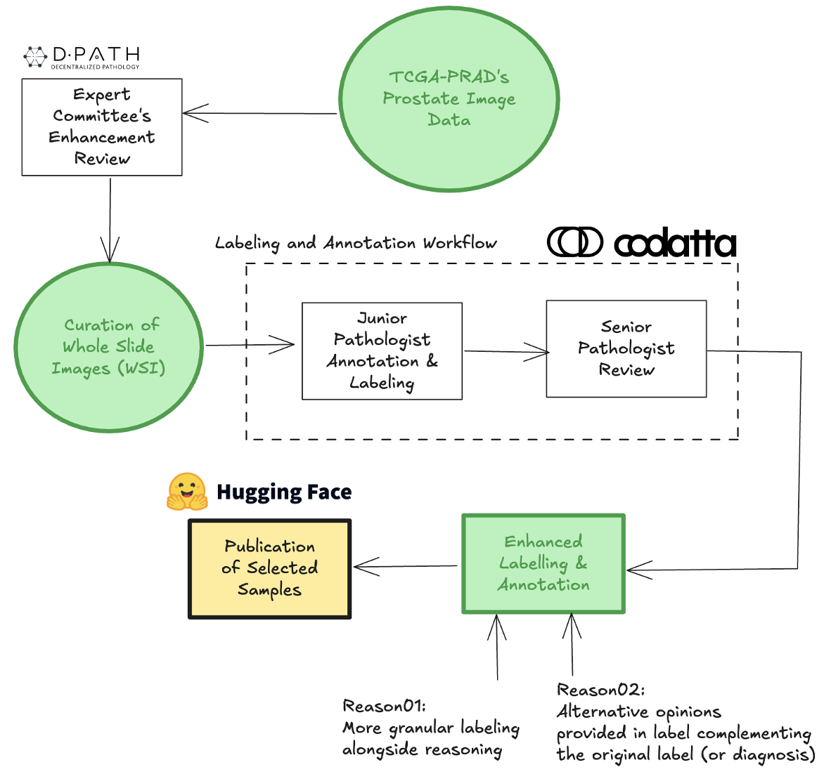 workflow of re-annotation and labelingt