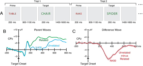 Example Experiment